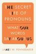 Cover art for THE SECRET LIFE OF PRONOUNS