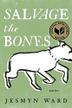 Cover art for SALVAGE THE BONES