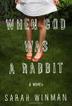 Cover art for WHEN GOD WAS A RABBIT