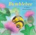 Cover art for BUMBLEBEE