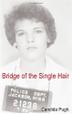 Cover art for BRIDGE OF THE SINGLE HAIR