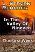 Cover art for IN THE VALLEY OF NINEVEH