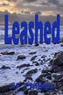 Cover art for LEASHED